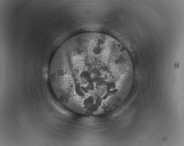 X0000093720069200711060947