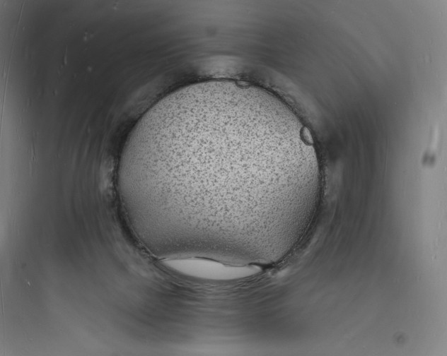 X0000093720073200711060947