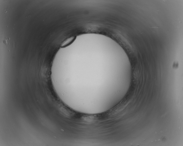 X0000093720079200711060947