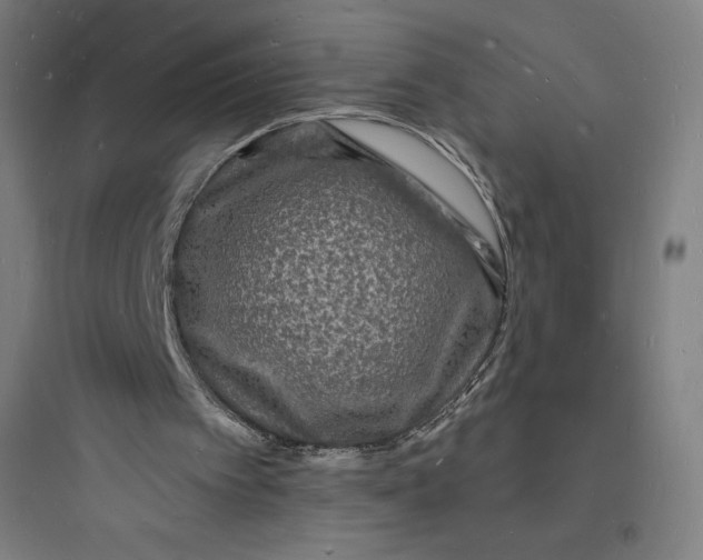 X0000093720097200711060946