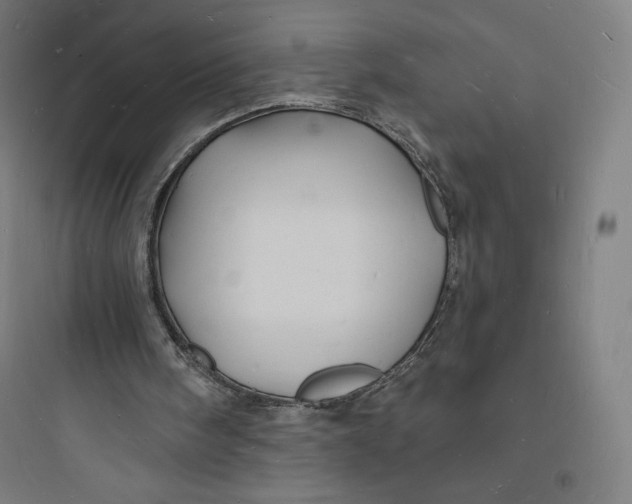 X0000093720098200711060946