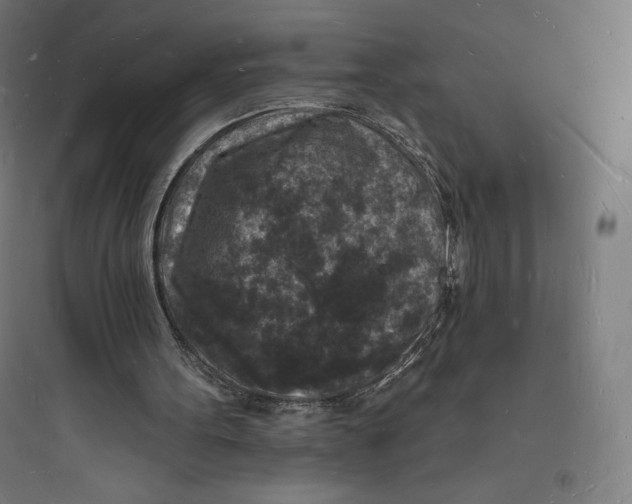 X0000093720099200711060946