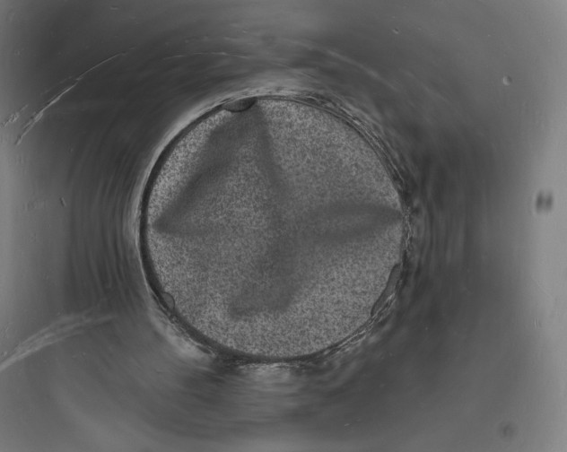 X0000093720100200711060946