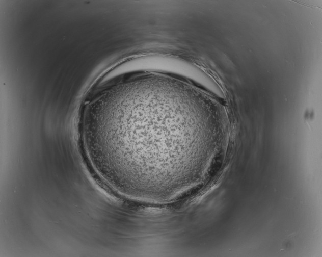 X0000093720101200711060946