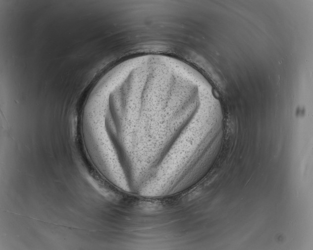 X0000093720110200711060946