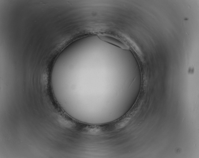 X0000093720113200711060946