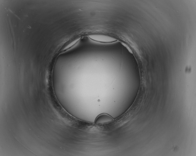 X0000093720115200711060946