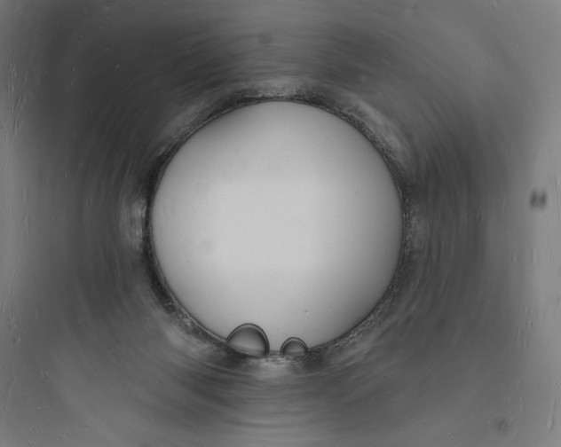 X0000093720118200711060946