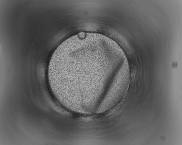 X0000093720120200711060946