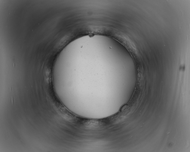 X0000093720123200711060946