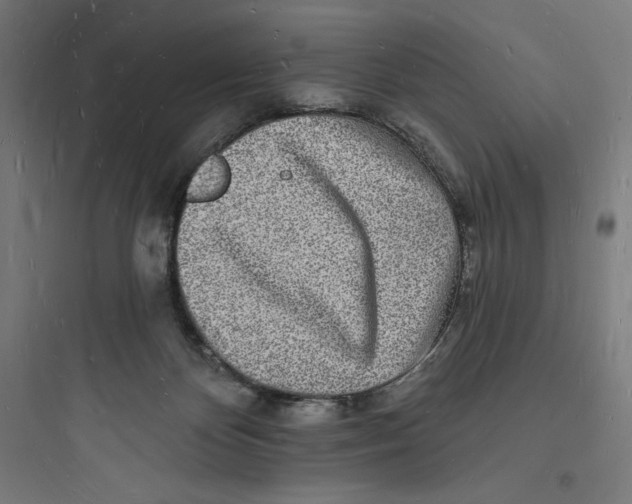 X0000093720124200711060946