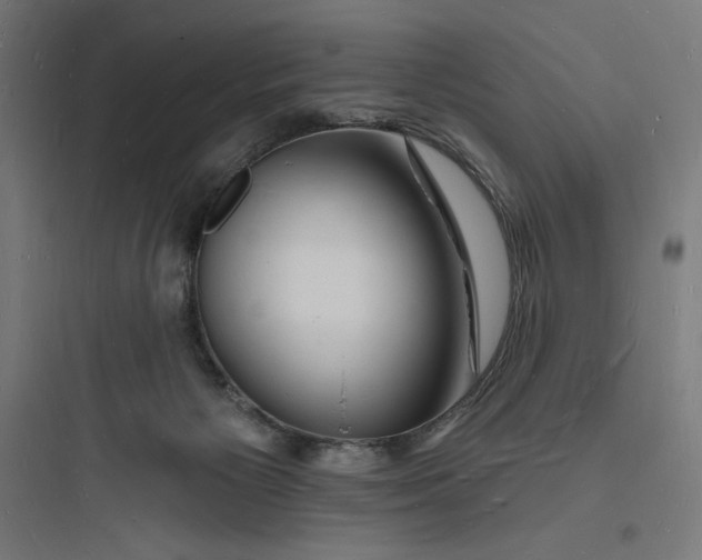 X0000093720125200711060946