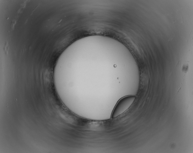 X0000093720126200711060946