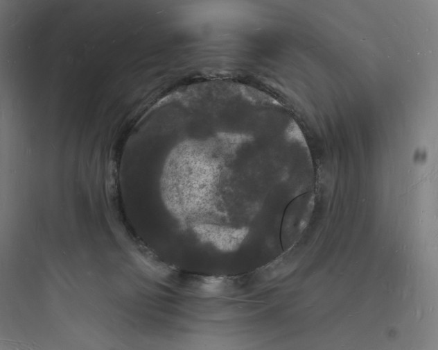 X0000093720130200711060946