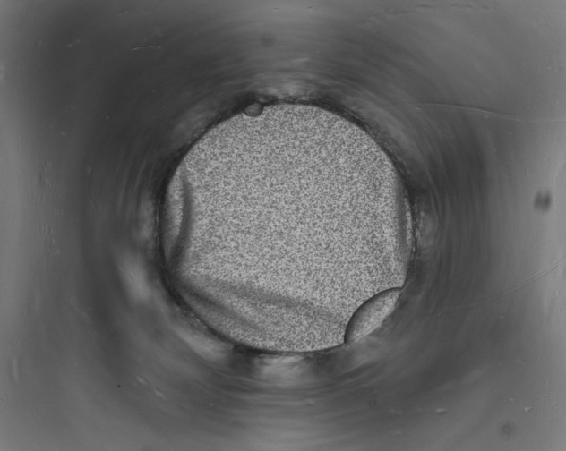 X0000093720132200711060946