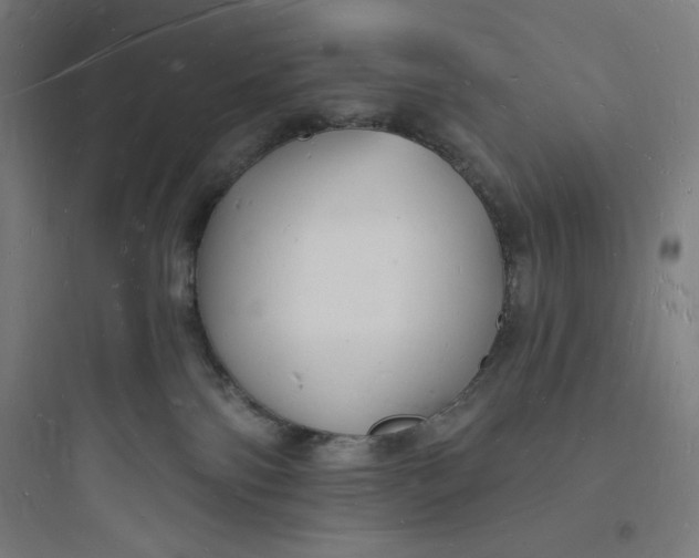 X0000093720138200711060946