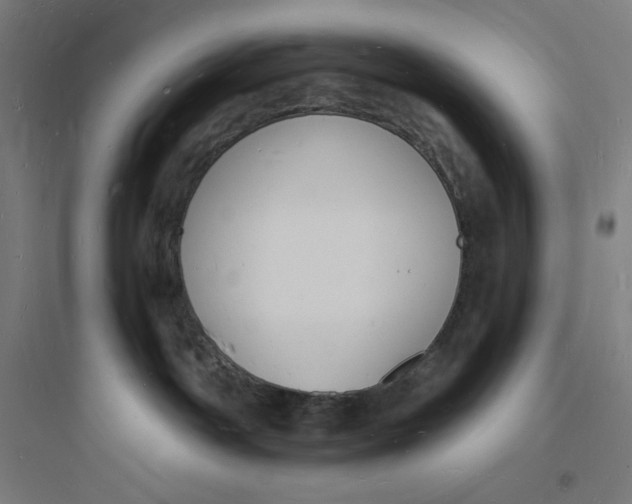 X0000093720142200711060946