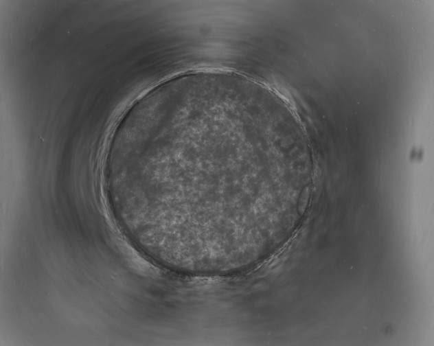 X0000093720145200711060945