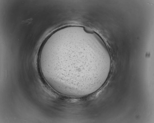 X0000093720151200711060945