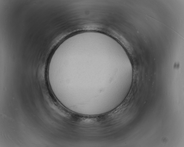 X0000093720155200711060945