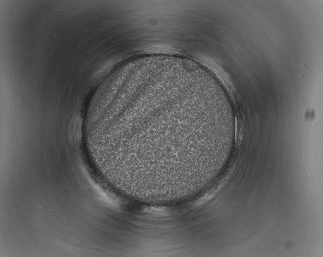 X0000093720157200711060945