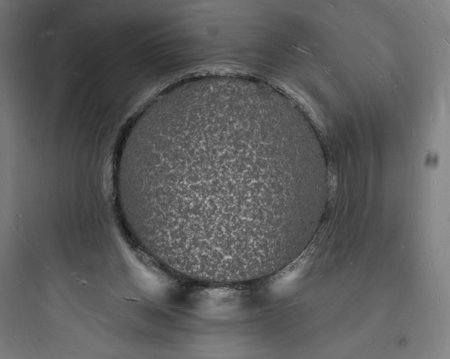 X0000093720158200711060945