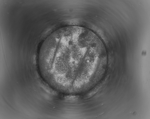 X0000093720161200711060945