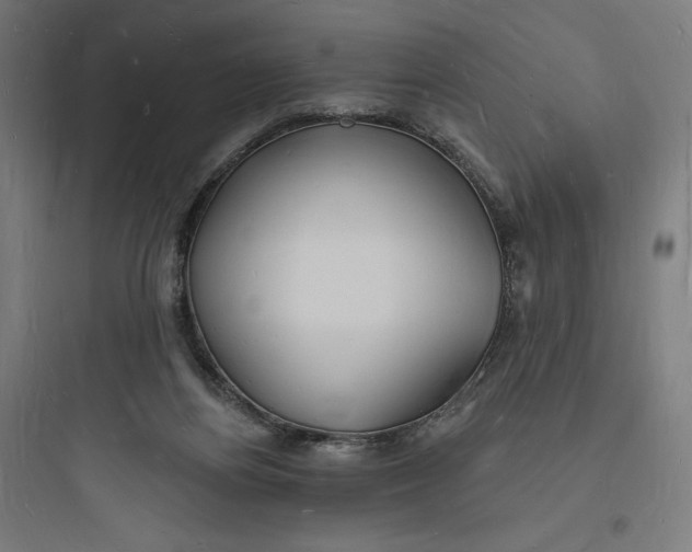 X0000093720164200711060945