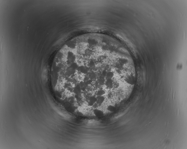 X0000093720165200711060945