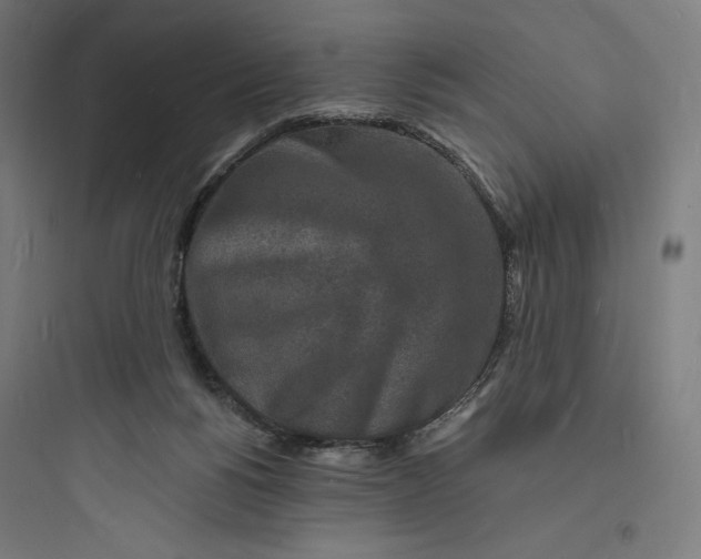 X0000093720168200711060945