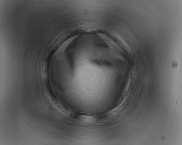 X0000093720170200711060945