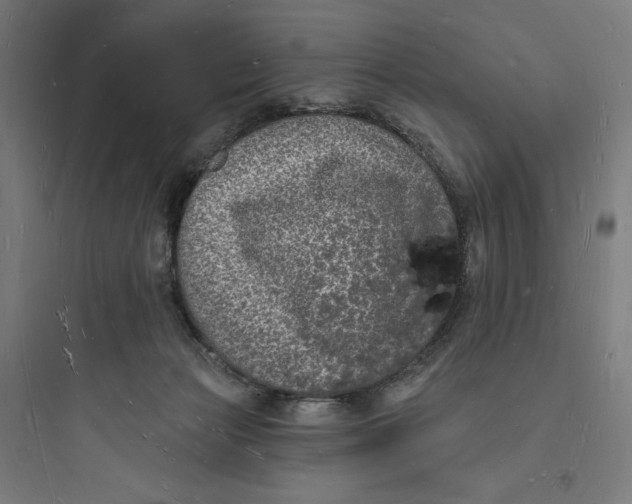 X0000093720173200711060945