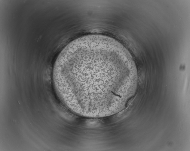 X0000093720175200711060946