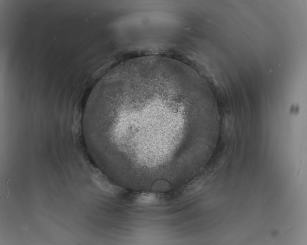 X0000093720177200711060946