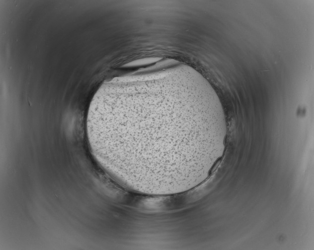 X0000093720178200711060946