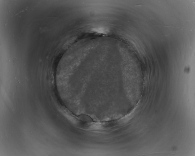 X0000093720182200711060946