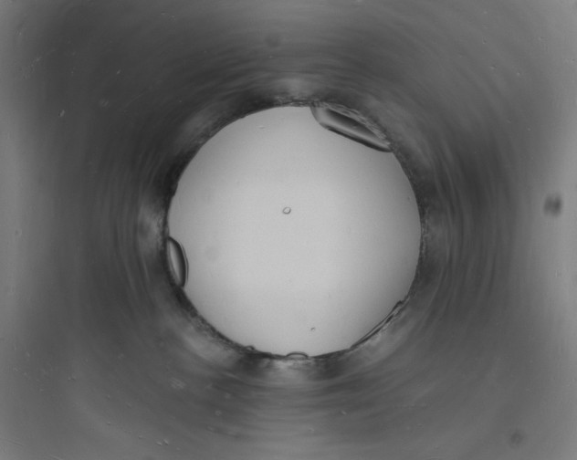 X0000093720188200711060946