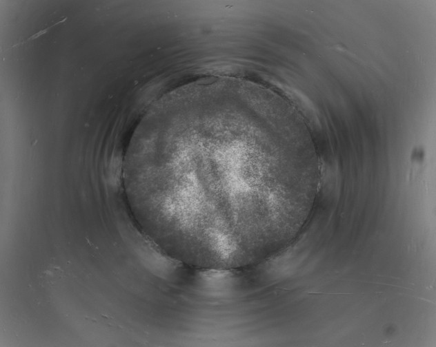 X0000093720189200711060946