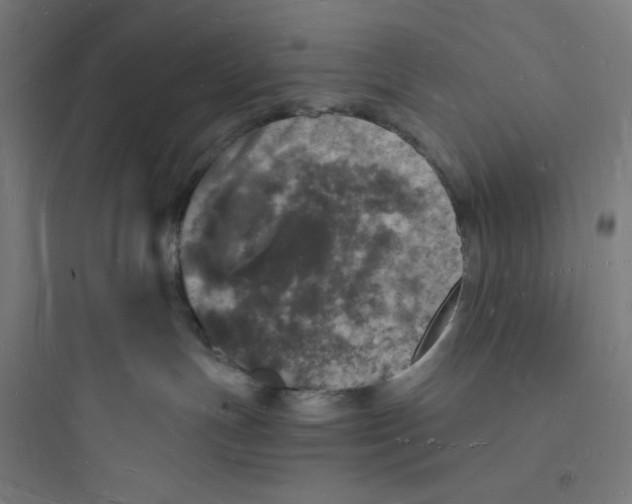 X0000093720191200711060946