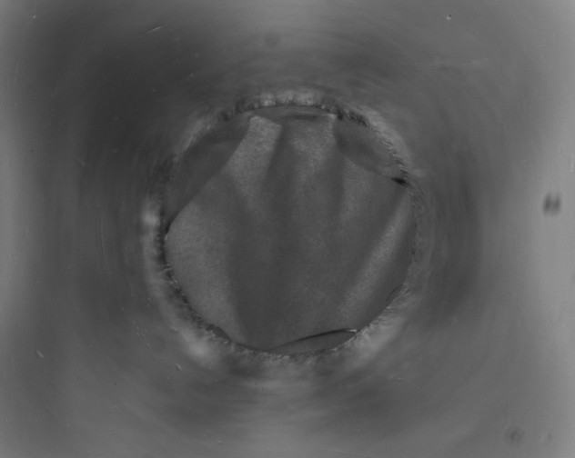 X0000093720192200711060946