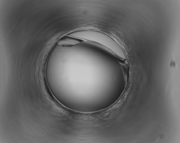 X0000093720193200711060945