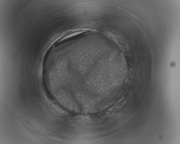 X0000093720194200711060945