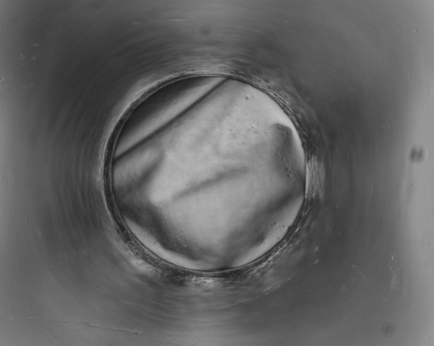 X0000093720195200711060945