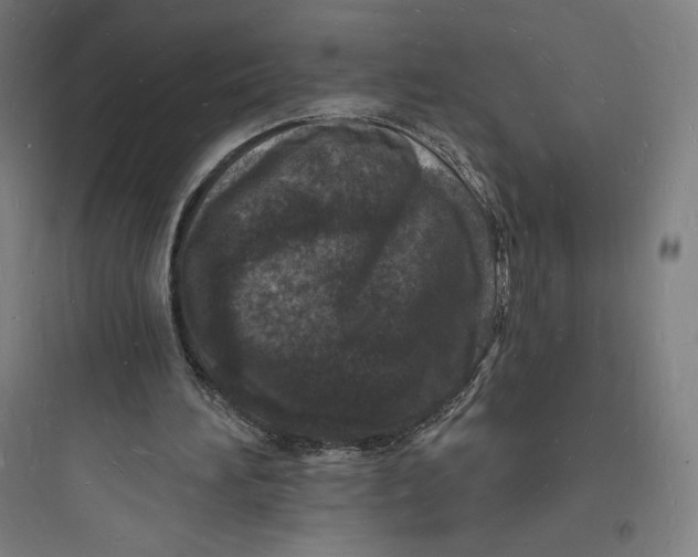 X0000093720196200711060945