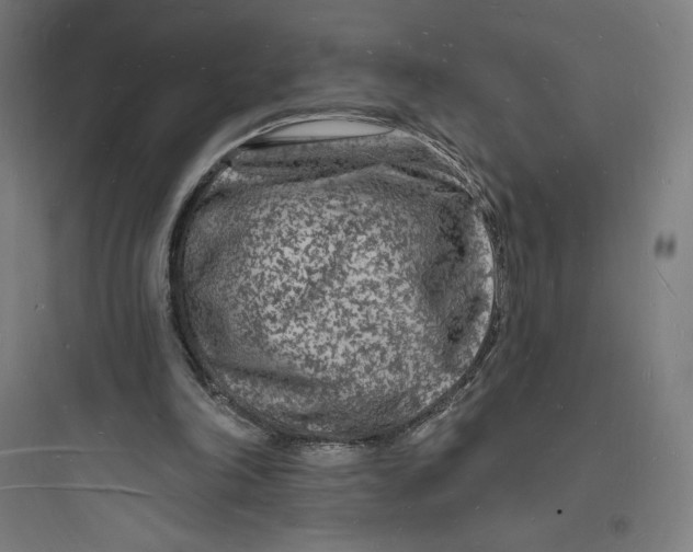 X0000093720198200711060945