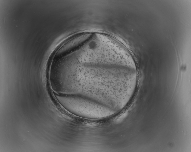 X0000093720199200711060945