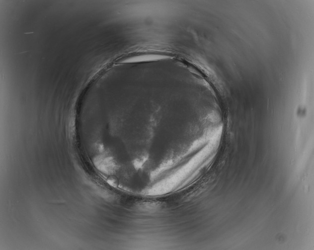 X0000093720202200711060945