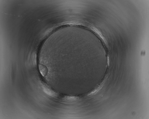 X0000093720205200711060945