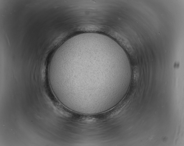 X0000093720206200711060945