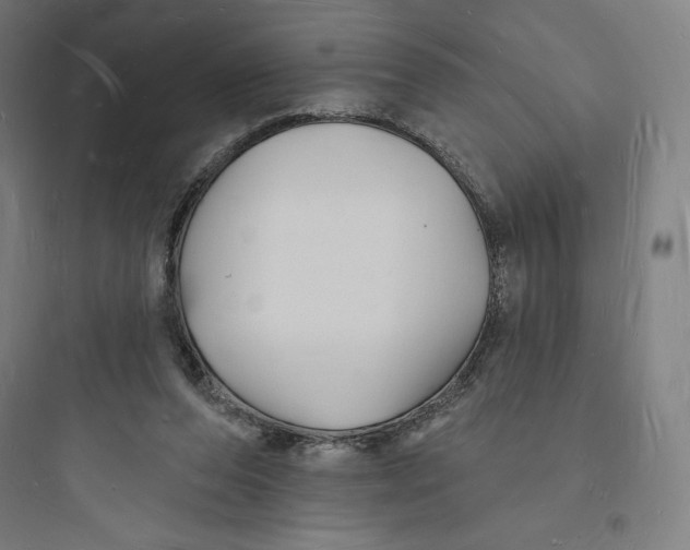 X0000093720208200711060945